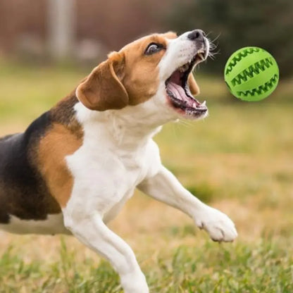 Interactive Rubber Pet Dog Toy